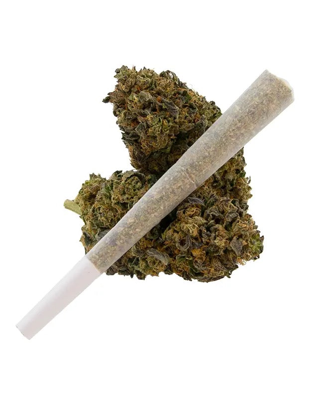 1.5g Diamond Knock-Out THC-A Infused Pre-Roll